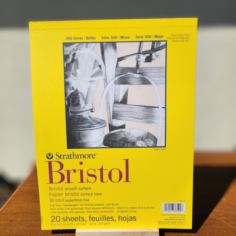 NEW Strathmore Bristol 300 Series Sketch Pad Paper Notebook Art Drawing Supplies